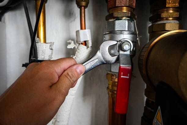 Best Plumbing Repair Near Me  in Oak Grove, MN